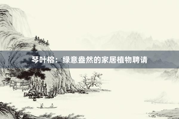 琴叶榕：绿意盎然的家居植物聘请